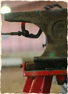 Anvil with horseshoe
